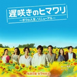Osozaki no Himawari