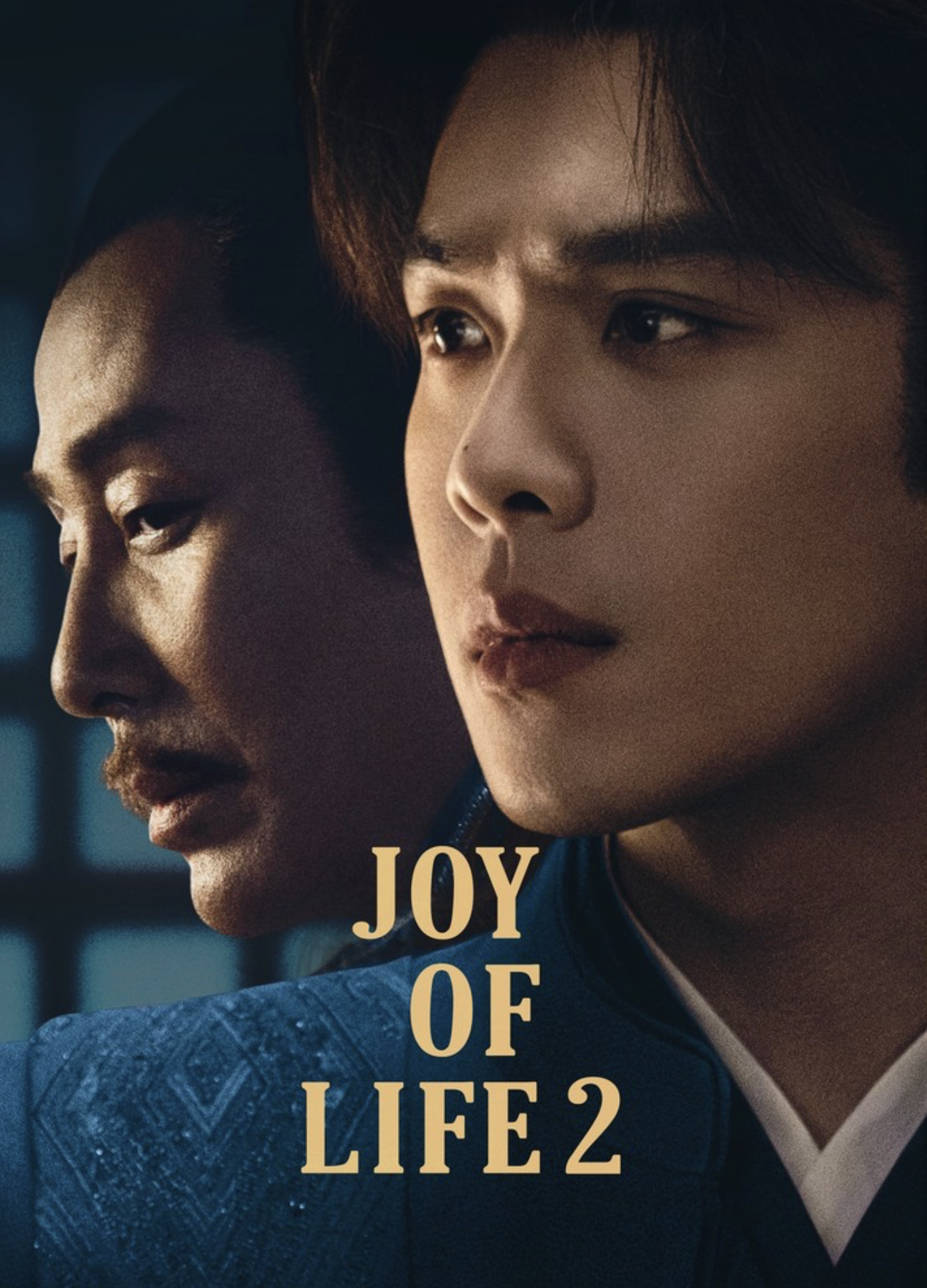 Joy of Life: Season 2 (2024)